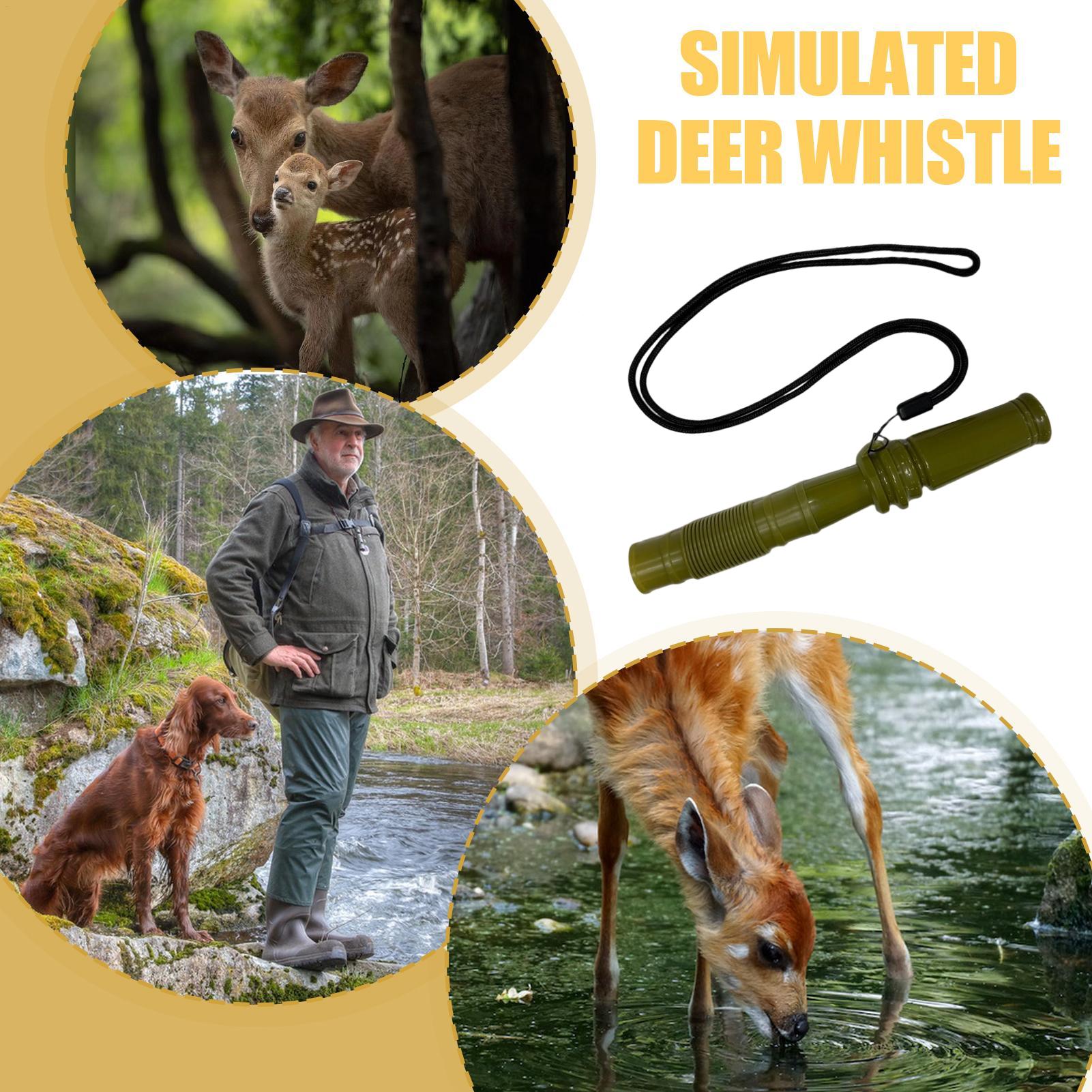 Rammelende gewei voor hertenja - Outdoor Hunting Youtube recensie en prijs