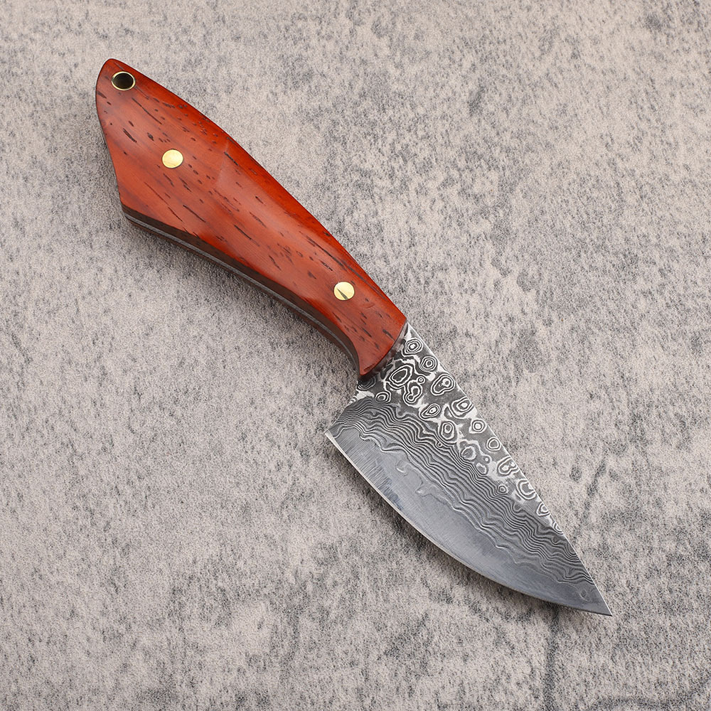 Vg10 Damascus Stalen Jachtmes  - Hunting Camp Outdoor Kitchen recensie en prijs